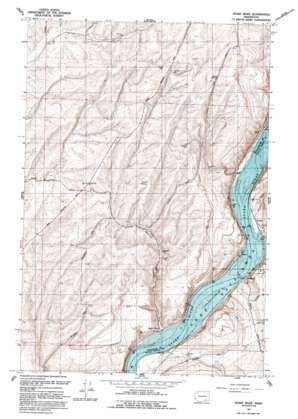 Snake River topo map