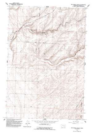 Rye Grass Coulee topo map