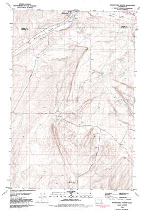 Washtucna South topo map