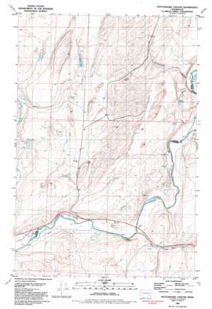 Rattlesnake Canyon USGS topographic map 46118g1