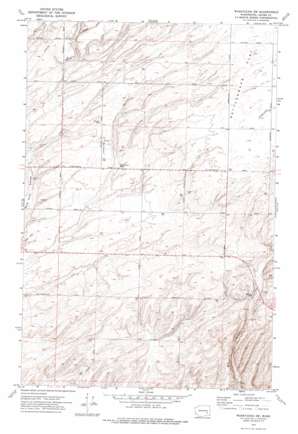 West Of Washtucna USGS topographic map 46118g4