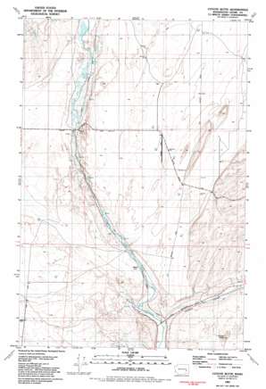 Coyote Butte USGS topographic map 46118h2