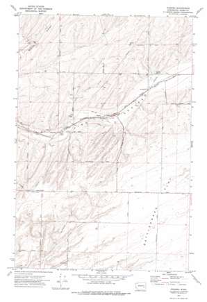 Pizarro USGS topographic map 46118h4