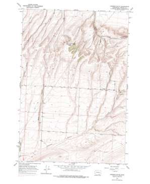 Johnson Butte topo map