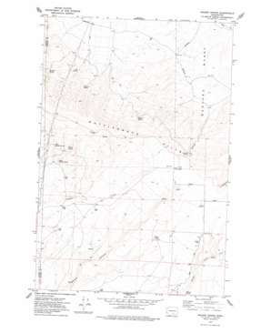 Maiden Spring USGS topographic map 46119d7