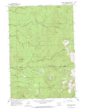 Hagerty Butte topo map