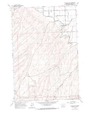 Bluelight Nw USGS topographic map 46120b2