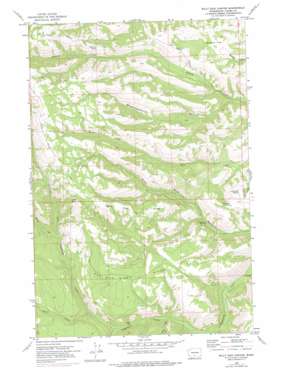 Willy Dick Canyon topo map