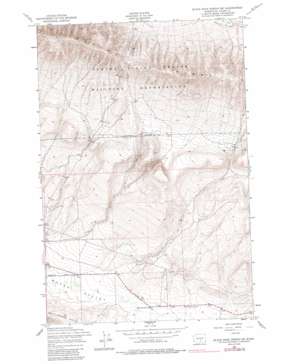Black Rock Spring Sw USGS topographic map 46120e2