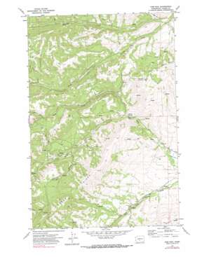 Pine Mountain USGS topographic map 46120e8