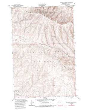 McDonald Spring USGS topographic map 46120g2