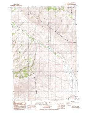 Wenas Lake USGS topographic map 46120g6