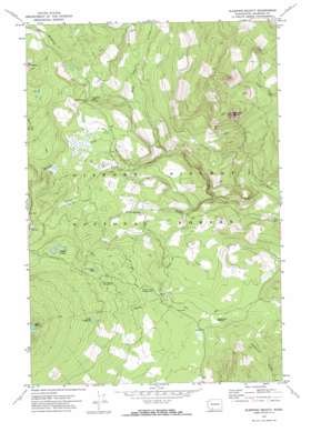 Sleeping Beauty USGS topographic map 46121a6