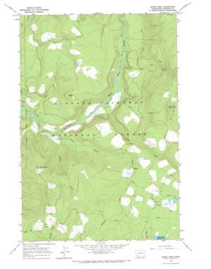 Burnt Peak USGS topographic map 46121a8