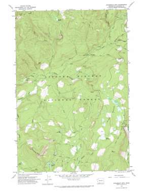 Steamboat Mountain topo map