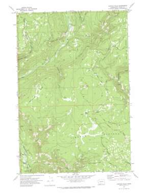 Castile Falls USGS topographic map 46121c2