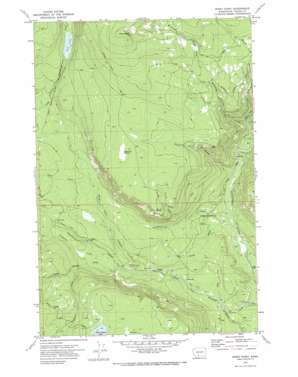 Windy Point USGS topographic map 46121c3