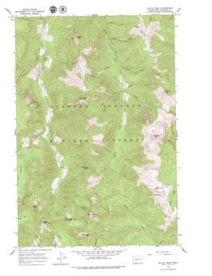 McCoy Peak USGS topographic map 46121c7