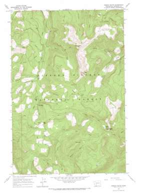 French Butte topo map