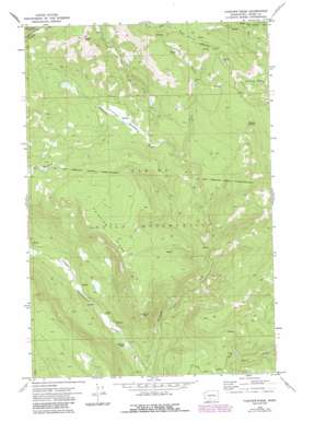 Fairview Ridge USGS topographic map 46121d2