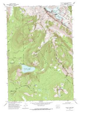 Walupt Lake USGS topographic map 46121d4