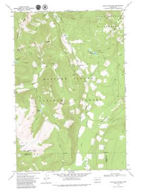 Hamilton Buttes USGS topographic map 46121d5