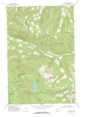 Blue Lake USGS topographic map 46121d6