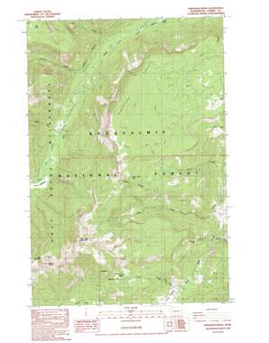 Pinegrass Ridge USGS topographic map 46121e3
