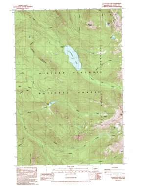 Packwood Lake topo map
