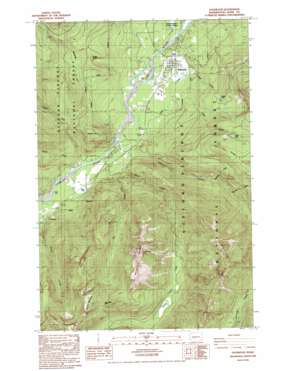 Packwood USGS topographic map 46121e6