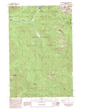 Wahpenayo Peak USGS topographic map 46121f7