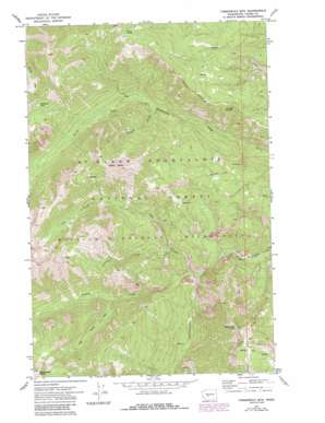 Timberwolf Mountain USGS topographic map 46121g2