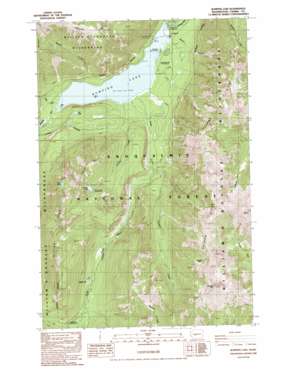 Bumping Lake USGS topographic map 46121g3