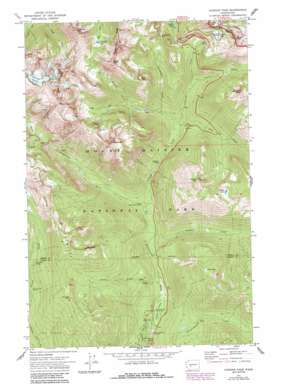 Chinook Pass USGS topographic map 46121g5