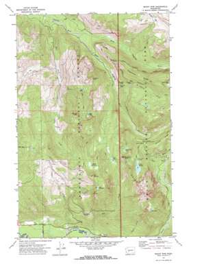 Mount Wow USGS topographic map 46121g8
