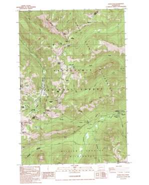 Norse Peak USGS topographic map 46121h4