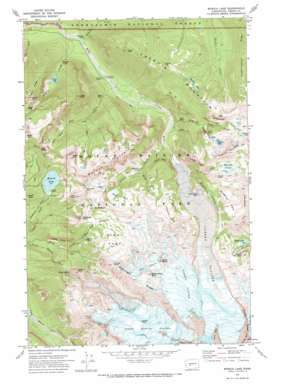 Mowich Lake USGS topographic map 46121h7