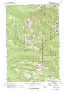 Golden Lakes USGS topographic map 46121h8