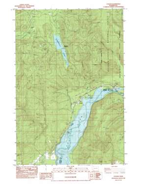 Cougar USGS topographic map 46122a3
