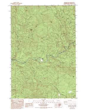 Georges Peak USGS topographic map 46122a5