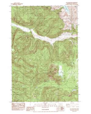 Goat Mountain USGS topographic map 46122b3