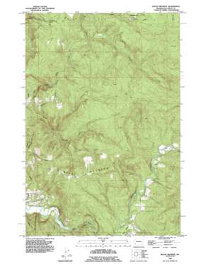 Mount Brynion USGS topographic map 46122b7