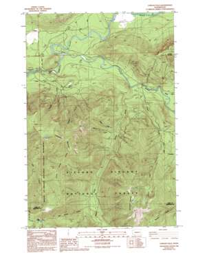 Cowlitz Falls USGS topographic map 46122d1