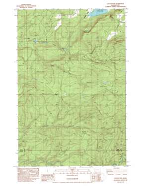 Coyote Mountain topo map