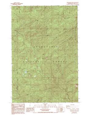 Newaukum Lake USGS topographic map 46122f4