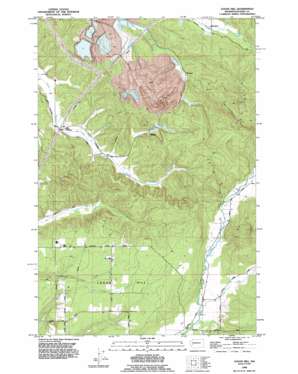 Bucoda USGS topographic map 46122f7