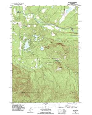 Bald Hill USGS topographic map 46122g4