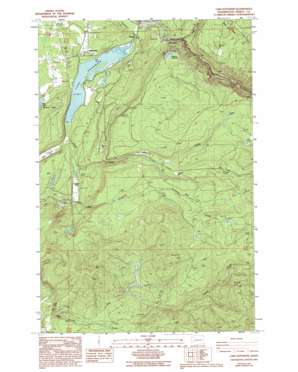 Lake Kapowsin USGS topographic map 46122h2
