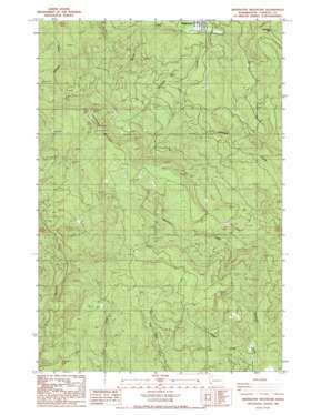 Abernathy Mountain USGS topographic map 46123c1