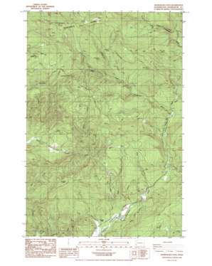 Skamokawa Pass USGS topographic map 46123c3